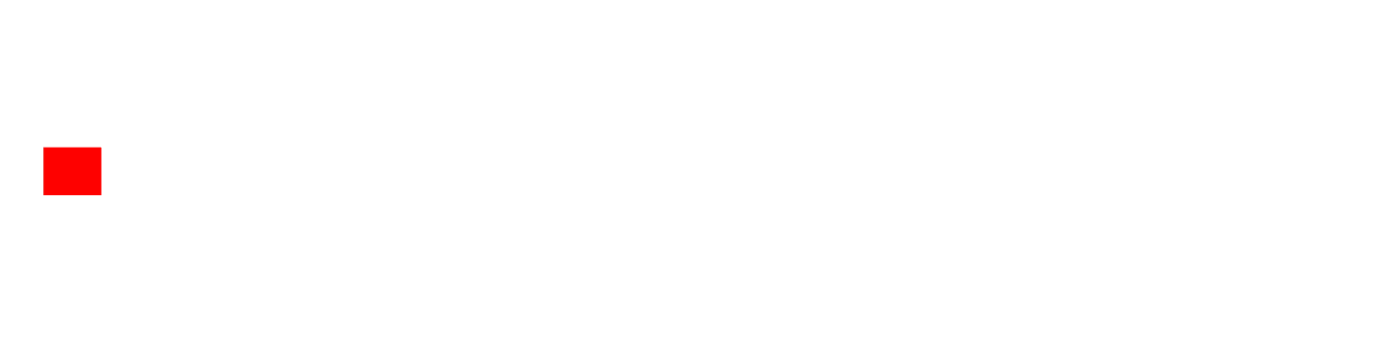 Logo Item